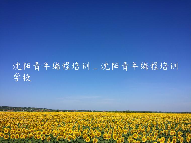 沈阳青年编程培训_沈阳青年编程培训学校