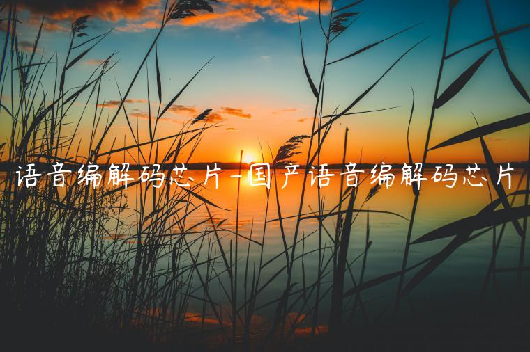 语音编解码芯片-国产语音编解码芯片