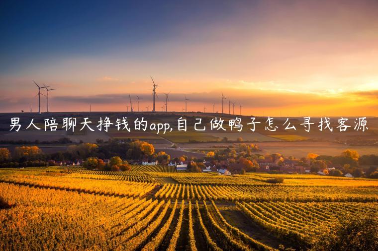 男人陪聊天挣钱的app,自己做鸭子怎么寻找客源