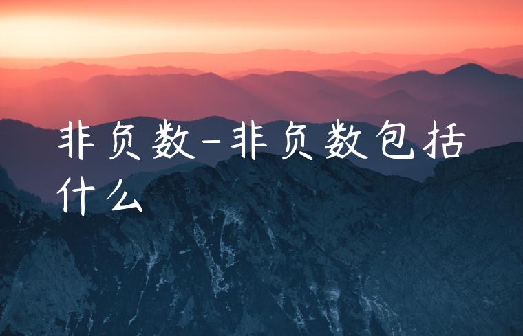 非负数-非负数包括什么
