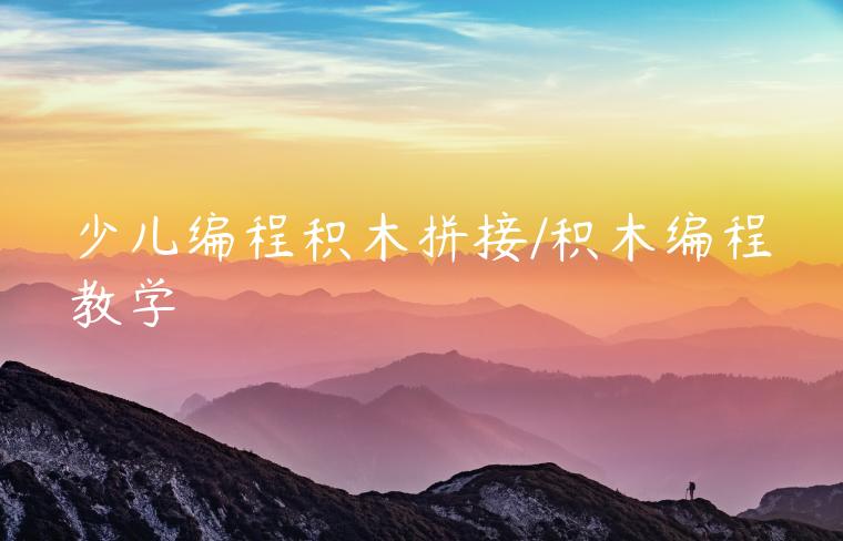 少儿编程积木拼接/积木编程教学