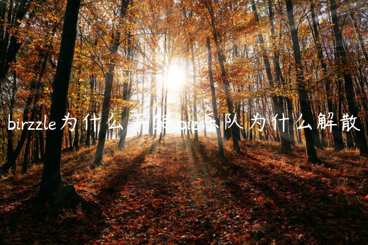 birzzle为什么下架,biz乐队为什么解散