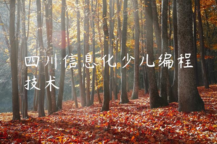 四川信息化少儿编程技术