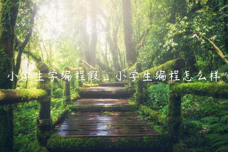 小学生学编程假_小学生编程怎么样