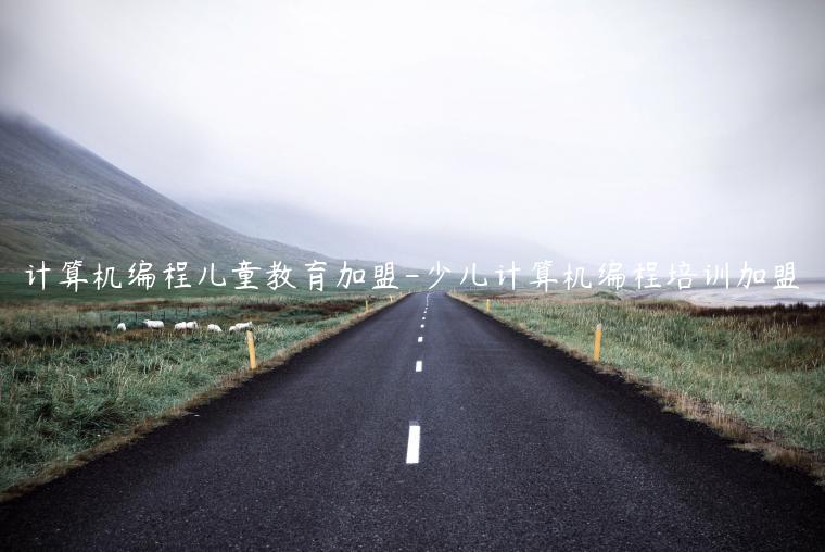 计算机编程儿童教育加盟-少儿计算机编程培训加盟