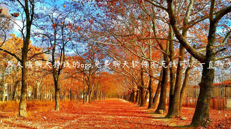 男人陪聊天挣钱的app,免费聊天软件不充钱可以一直聊