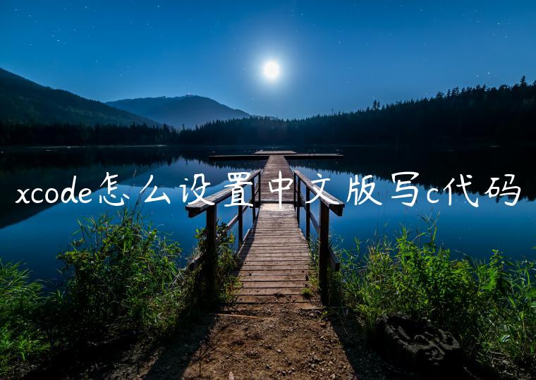 xcode怎么设置中文版写c代码