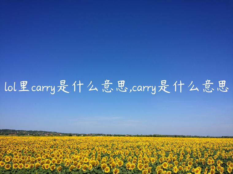 lol里carry是什么意思,carry是什么意思