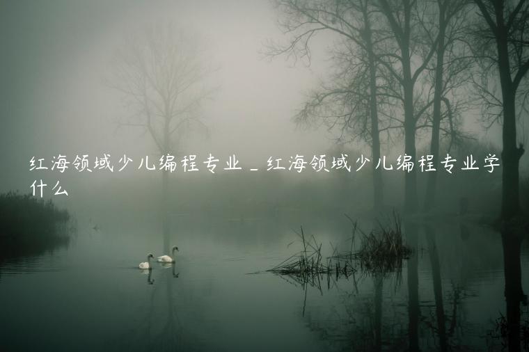 红海领域少儿编程专业_红海领域少儿编程专业学什么