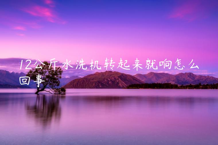 12公斤水洗机转起来就响怎么回事