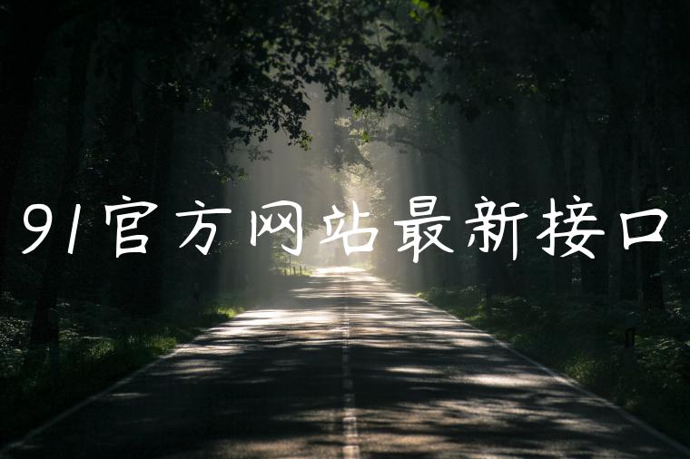 91官方网站最新接口
