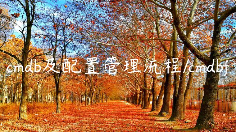 cmdb及配置管理流程/cmdbf