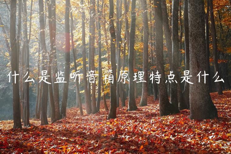 什么是监听音箱原理特点是什么