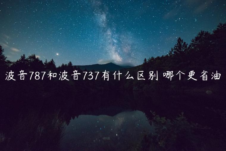 波音787和波音737有什么区别 哪个更省油