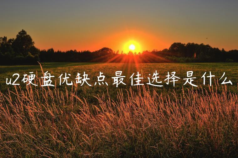 u2硬盘优缺点最佳选择是什么