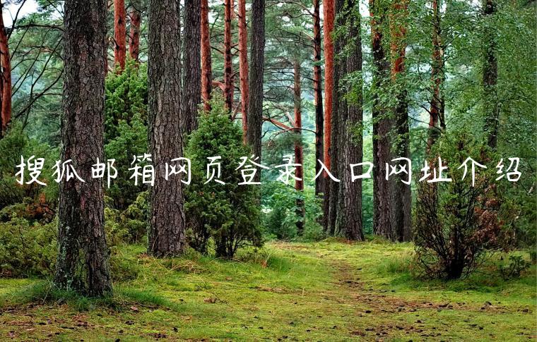 搜狐邮箱网页登录入口网址介绍