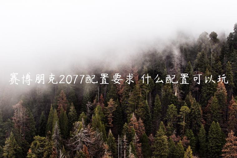 赛博朋克2077配置要求 什么配置可以玩