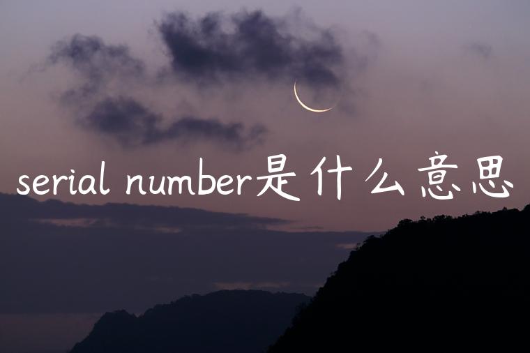 serial number是什么意思