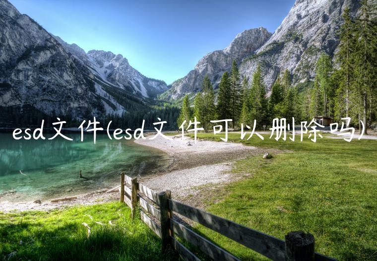 esd文件(esd文件可以删除吗)