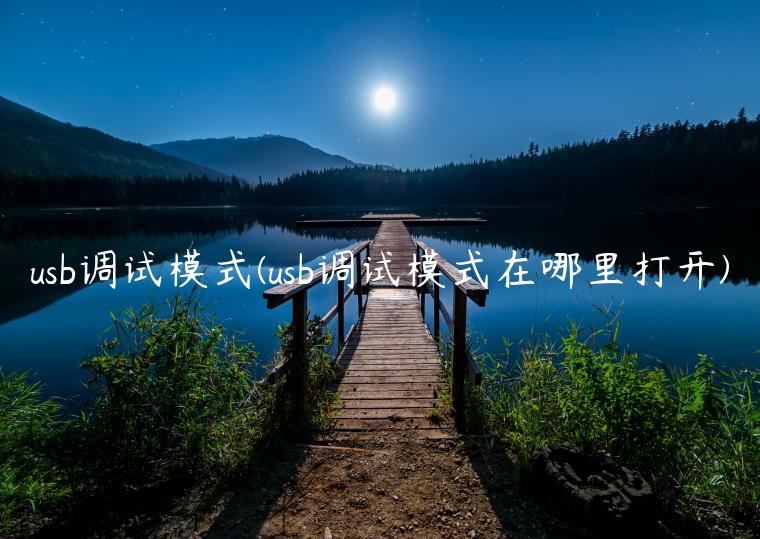 usb调试模式(usb调试模式在哪里打开)