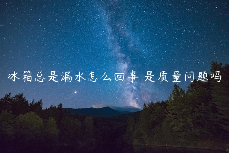冰箱总是漏水怎么回事 是质量问题吗