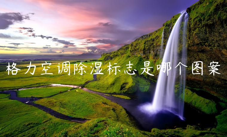 格力空调除湿标志是哪个图案