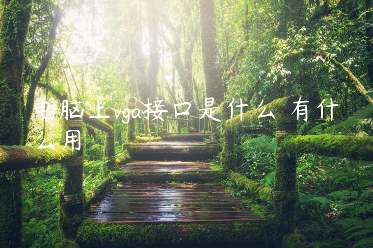 电脑上vga接口是什么 有什么用