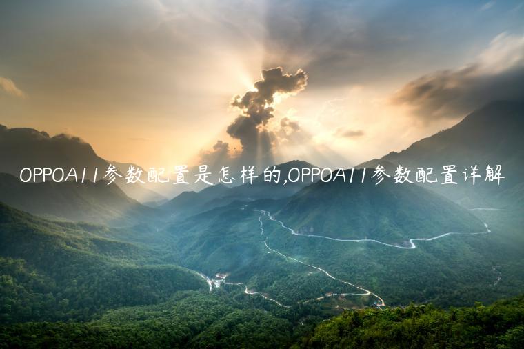 OPPOA11参数配置是怎样的,OPPOA11参数配置详解