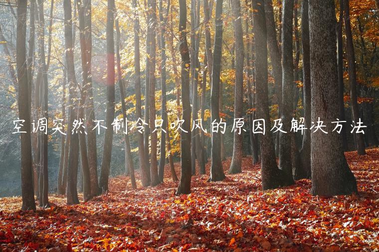 空调突然不制冷只吹风的原因及解决方法